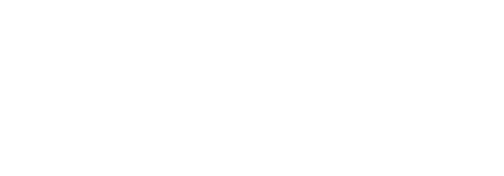 FLPP logo